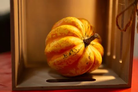 Decorative pumpkins on a kitchen table in a rural home Stock Photos