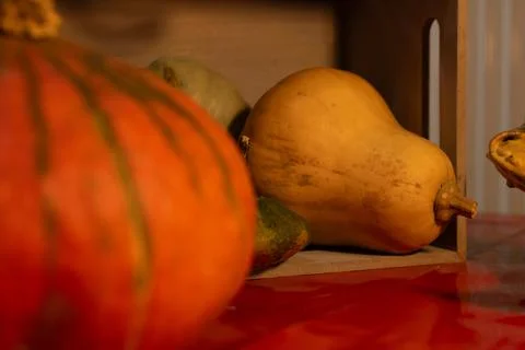 Decorative pumpkins on a kitchen table in a rural home Stock Photos
