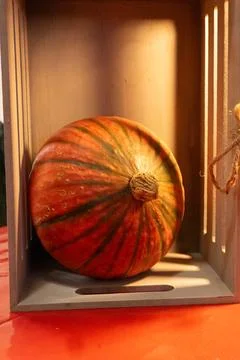 Decorative pumpkins on a kitchen table in a rural home Stock Photos