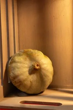 Decorative pumpkins on a kitchen table in a rural home Stock Photos