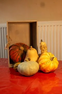 Decorative pumpkins on a kitchen table in a rural home Stock Photos