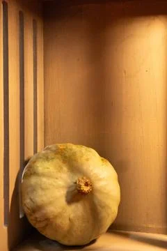 Decorative pumpkins on a kitchen table in a rural home Stock Photos