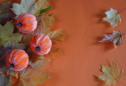 Decorative pumpkins made of velvet on maple leaves on an orange background with Foto stock