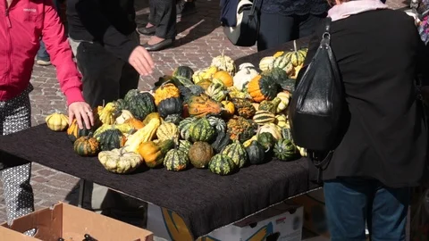 Decorative Pumpkins in a Market Stock Footage 96157580