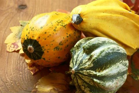 Decorative pumpkins Stock Photos