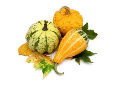 Decorative pumpkins Stock Photos