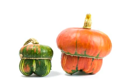 Decorative pumpkins Stock Photos