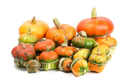 Decorative pumpkins Stock Photos
