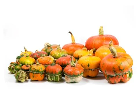 Decorative pumpkins Stock Photos