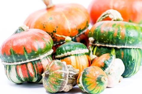 Decorative pumpkins Stock Photos