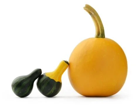 Decorative pumpkins Stock Photos