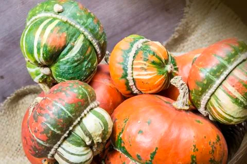 Decorative pumpkins Stock Photos