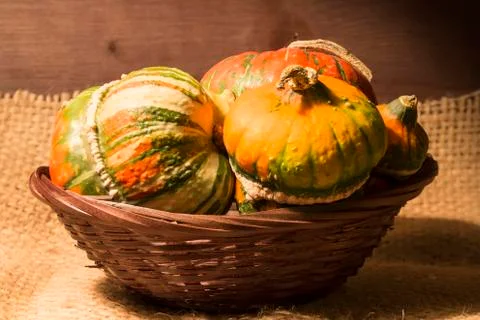 Decorative pumpkins Stock Photos