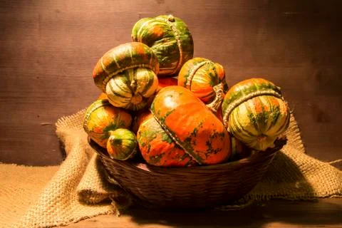 Decorative pumpkins Foto stock