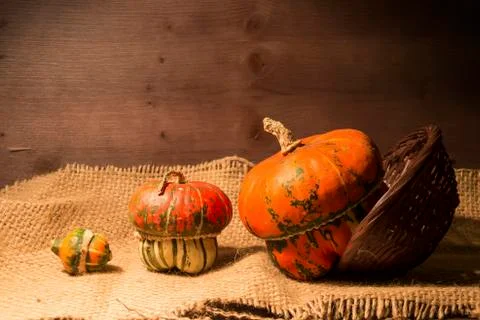 Decorative pumpkins Stock Photos