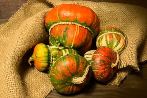 Decorative pumpkins Stock Photos
