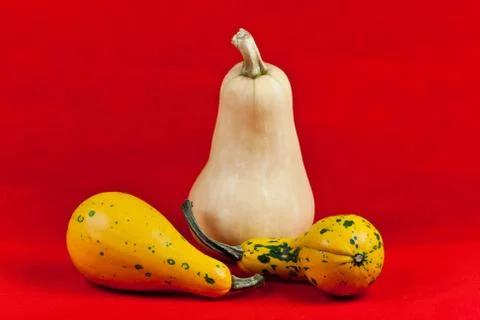 Decorative pumpkins Stock Photos