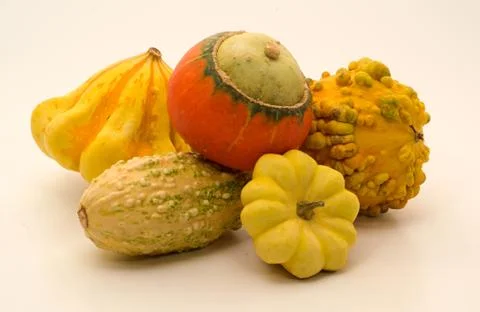 Decorative pumpkins Stock Photos