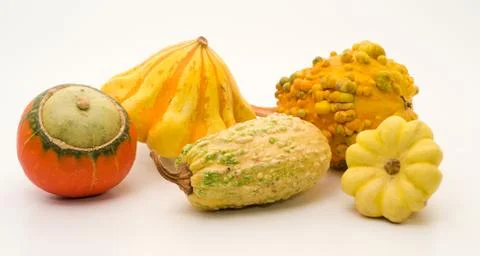 Decorative pumpkins Stock Photos