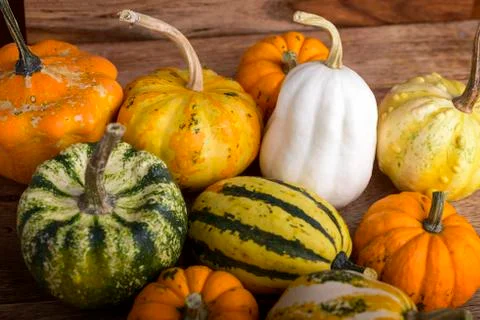 Decorative pumpkins Stock Photos