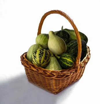 Decorative pumpkins Stockfoto's