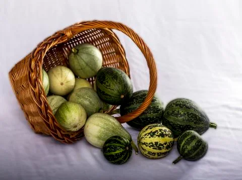 Decorative pumpkins Stockfoto's