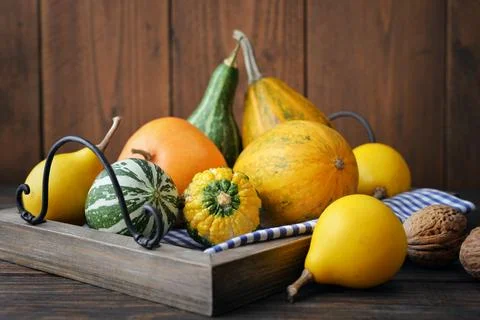 Decorative pumpkins Stock Photos