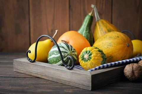 Decorative pumpkins Stock Photos