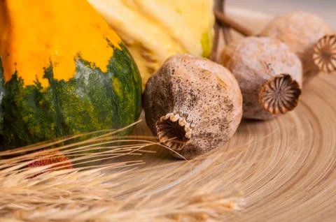 Decorative pumpkins on plate Stock Photos