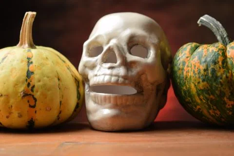 Decorative pumpkins with skull. Stock Photos