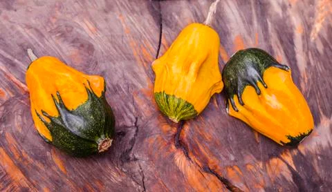 Decorative pumpkins on a tree-textured background. Stock Photos