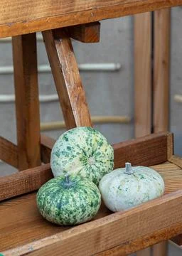 Decorative pumpkins with unusual, interesting shapes and colors, Foto stock