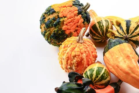 Decorative pumpkins on a white background. Soft selective focus. Autumn Stock Photos