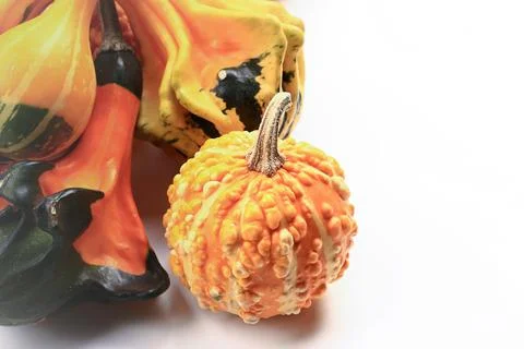 Decorative pumpkins on a white background. Soft selective focus. Autumn Stock Photos