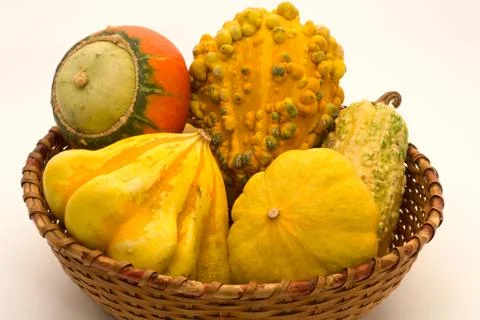 Decorative pumpkins in wicker basket Stock Photos