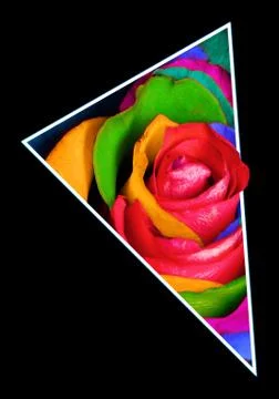 Decorative rainbow rose in polygon Stock Illustration