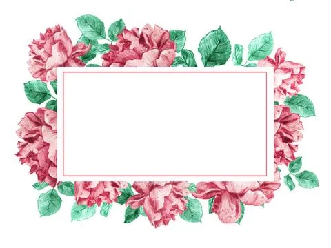 Decorative rectangular horizontal frame of pink garden roses with green leaves Stock Illustration