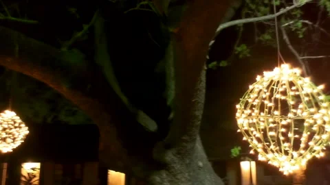 Decorative red lights hanging from a tree Stock Footage 146756254