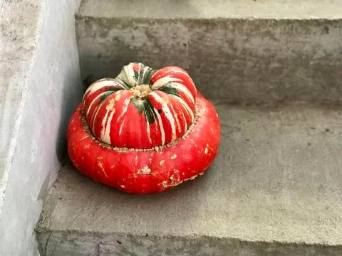 Decorative red pumpkin Stock Photos