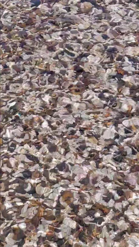 A decorative riverbed Stock Footage 336233966