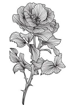 Decorative rose Stock Illustration