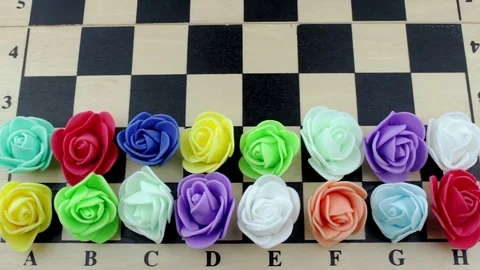 Decorative roses on chessboard Stock Footage 80146956