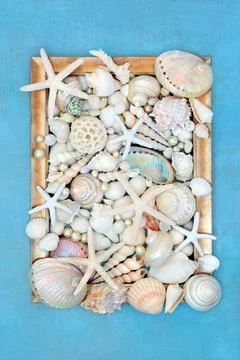 Decorative Sea Shell and Pearl Abstract Frame 스톡 사진
