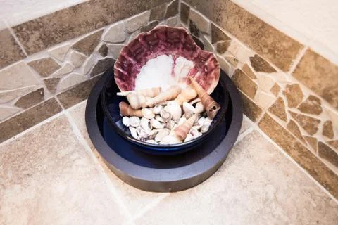 Decorative sea shells Stock Photos