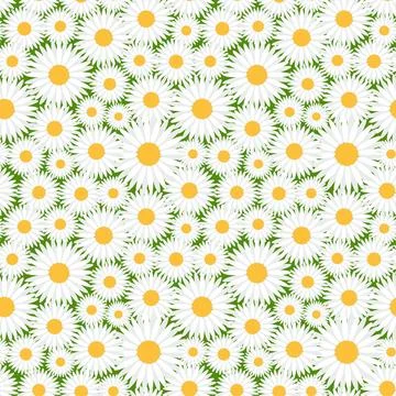 Decorative seamless pattern with daisies. Stock Illustration