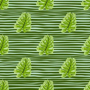 Decorative seamless pattern with jungle green monstera leaf ornament. Striped Stock Illustration