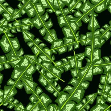 Decorative seamless pattern with random green tropic banana leaf shapes. Blac Stock Illustration