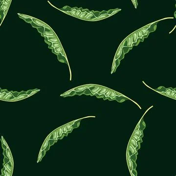 Decorative seamless pattern with random green banana leaves ornament. Black b Stock Illustration