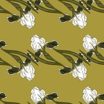 Decorative seamless pattern with white doodle iris flowers ornament. Green pa Stock Illustration