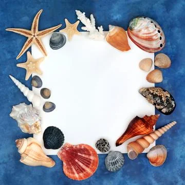 Decorative Seashell Background Frame on Blue Stockfoto's